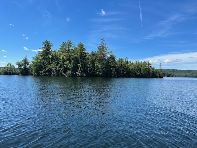 37 Parkhill Point Rd, Belgrade, ME 04917 - water view with a forest