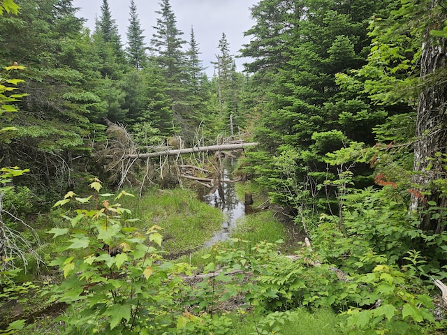 M17L5 Number 7 Rd, Steuben, ME 04680
