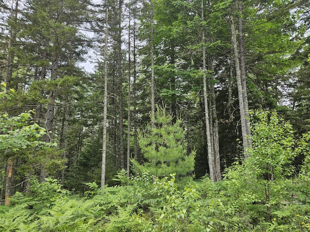 M17L5 Number 7 Rd, Steuben, ME 04680
