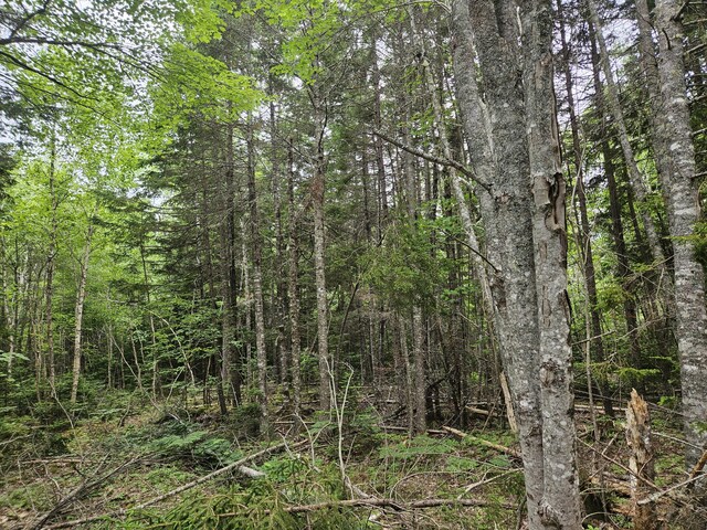 M17L5 Number 7 Rd, Steuben, ME 04680