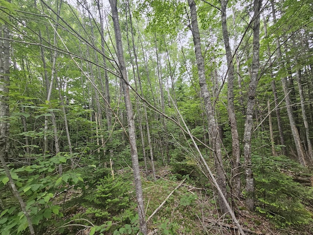 M17L5 Number 7 Rd, Steuben, ME 04680