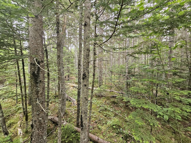 M17L5 Number 7 Rd, Steuben, ME 04680