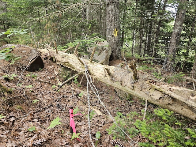 M17L5 Number 7 Rd, Steuben, ME 04680