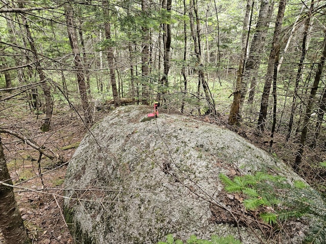 M17L5 Number 7 Rd, Steuben, ME 04680