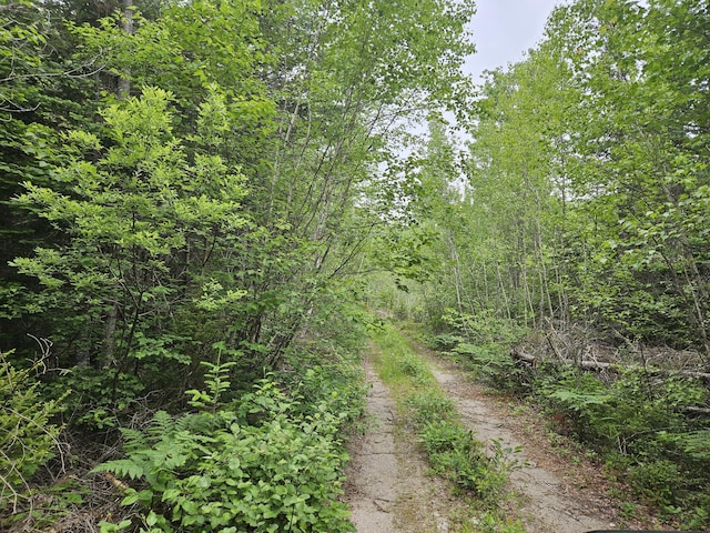 M17L5 Number 7 Rd, Steuben, ME 04680