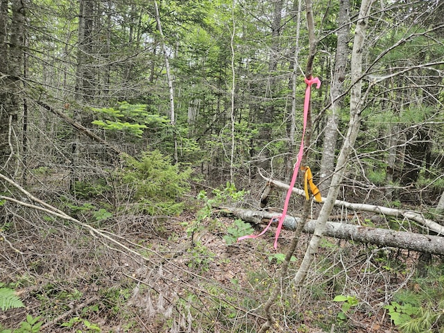 M17L5 Number 7 Rd, Steuben, ME 04680