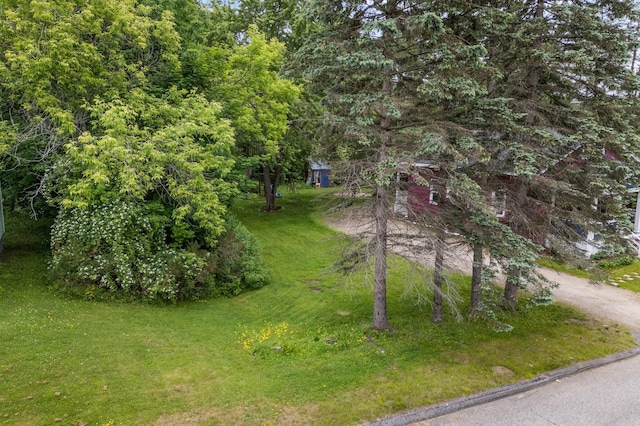 25 Foch St, Lewiston, ME 04240 - view of grassy yard