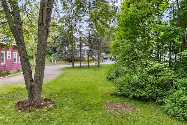 25 Foch St, Lewiston, ME 04240 - view of grassy yard