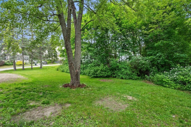 25 Foch St, Lewiston, ME 04240 - view of grassy yard