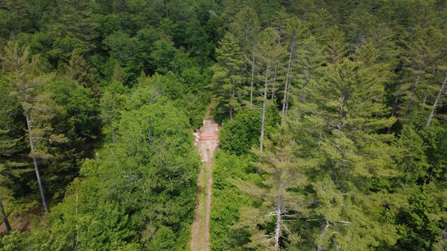 LOT06 Mcintire Rd, Waterford, ME 04088 - photo 6