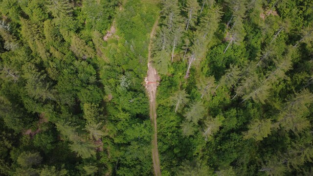 LOT06 Mcintire Rd, Waterford, ME 04088 - photo 9