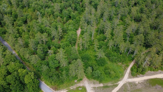LOT06 Mcintire Rd, Waterford, ME 04088 - photo 10