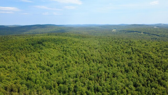 LOT06 Mcintire Rd, Waterford, ME 04088 - photo 2