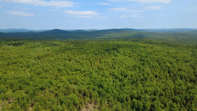 LOT06 Mcintire Rd, Waterford, ME 04088 - photo 14