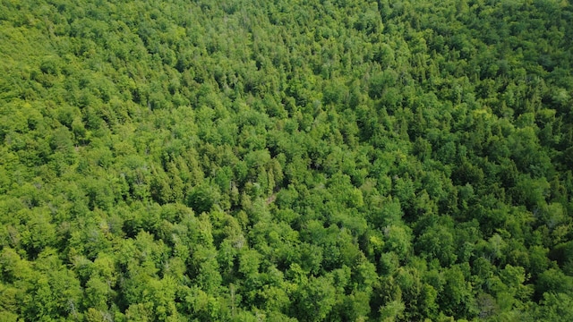 LOT06 Mcintire Rd, Waterford, ME 04088 - photo 15