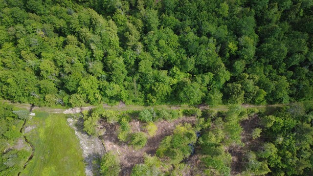 LOT06 Mcintire Rd, Waterford, ME 04088 - photo 16