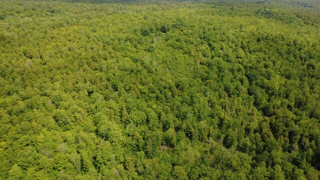 LOT06 Mcintire Rd, Waterford, ME 04088 - photo 17