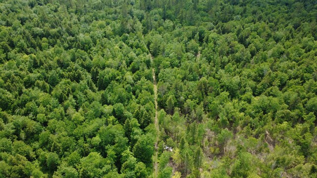 LOT06 Mcintire Rd, Waterford, ME 04088 - photo 19