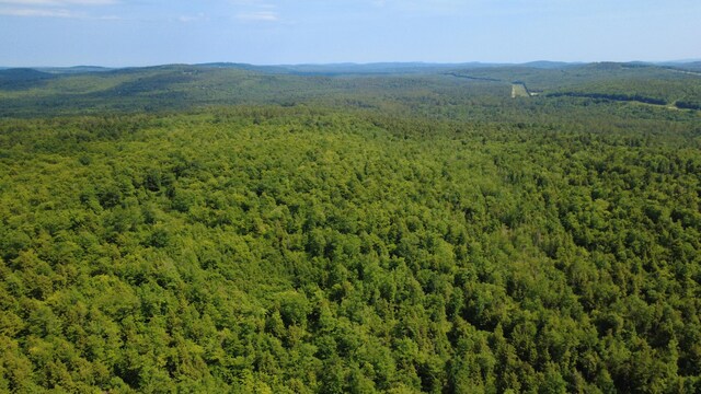 LOT06 Mcintire Rd, Waterford, ME 04088 - photo 20