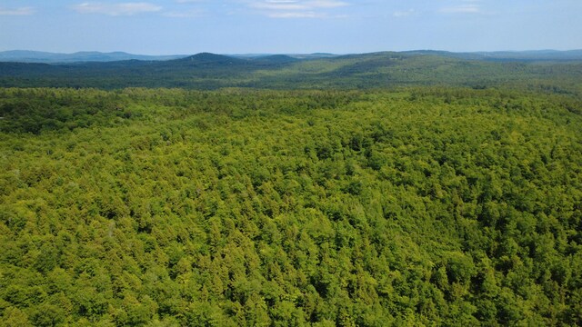 LOT06 Mcintire Rd, Waterford, ME 04088 - photo 21
