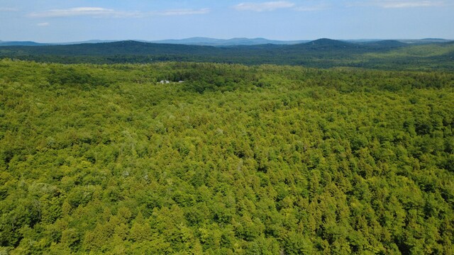 LOT06 Mcintire Rd, Waterford, ME 04088 - photo 22