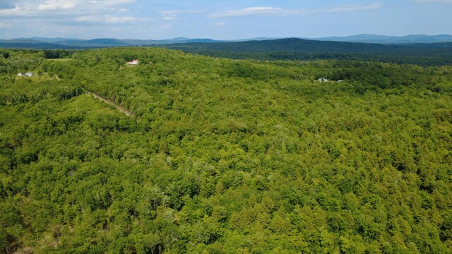LOT06 Mcintire Rd, Waterford, ME 04088 - photo 23