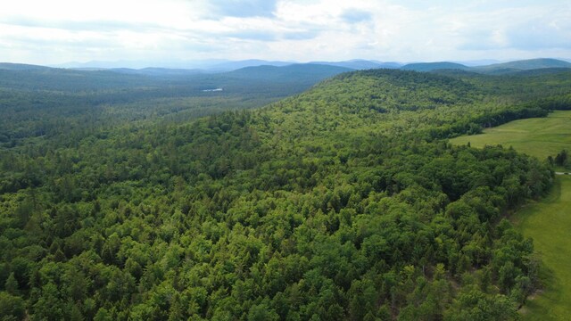 LOT06 Mcintire Rd, Waterford, ME 04088 - photo 25