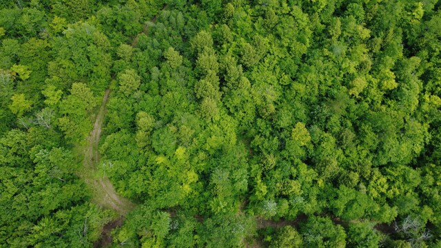 LOT06 Mcintire Rd, Waterford, ME 04088 - photo 26