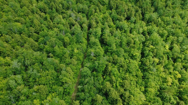 LOT06 Mcintire Rd, Waterford, ME 04088 - photo 27