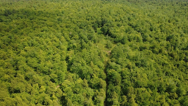 LOT06 Mcintire Rd, Waterford, ME 04088 - photo 28