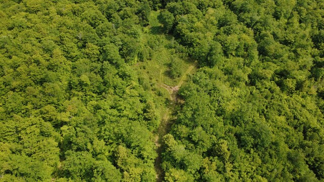 LOT06 Mcintire Rd, Waterford, ME 04088 - photo 29