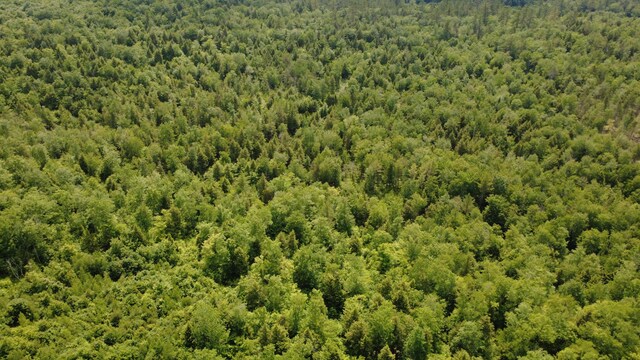 LOT06 Mcintire Rd, Waterford, ME 04088 - photo 30