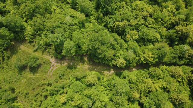 LOT06 Mcintire Rd, Waterford, ME 04088 - photo 32