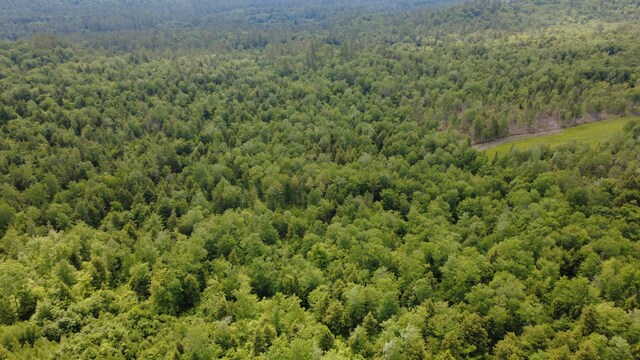LOT06 Mcintire Rd, Waterford, ME 04088 - photo 33