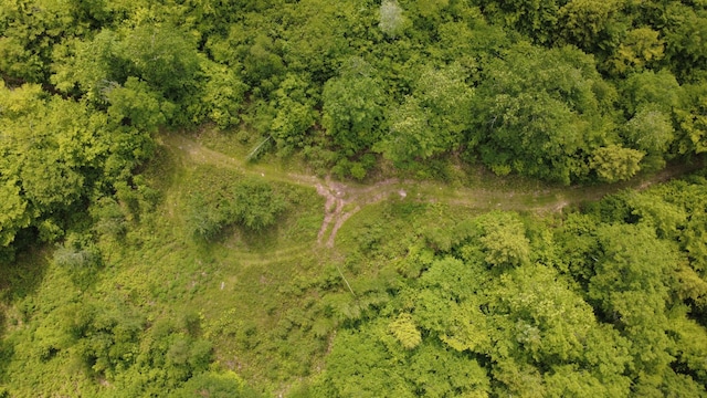 LOT06 Mcintire Rd, Waterford, ME 04088 - photo 34