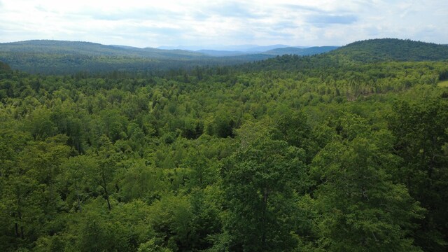 LOT06 Mcintire Rd, Waterford, ME 04088 - photo 35