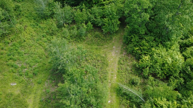 LOT06 Mcintire Rd, Waterford, ME 04088 - photo 36