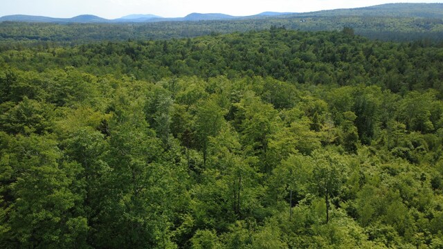 LOT06 Mcintire Rd, Waterford, ME 04088 - photo 37
