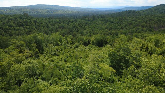 LOT06 Mcintire Rd, Waterford, ME 04088 - photo 38