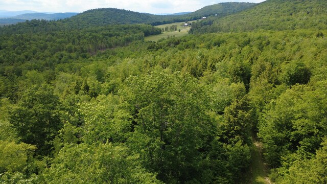LOT06 Mcintire Rd, Waterford, ME 04088 - photo 39
