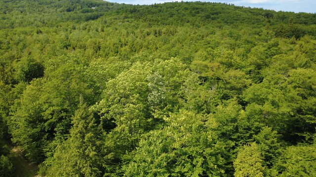 LOT06 Mcintire Rd, Waterford, ME 04088 - photo 40