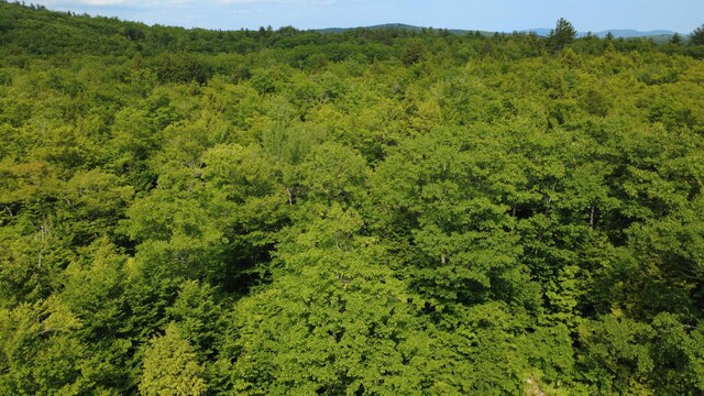 LOT06 Mcintire Rd, Waterford, ME 04088 - photo 41