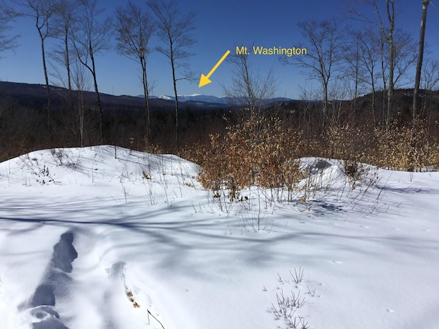 LOT06 Mcintire Rd, Waterford, ME 04088 - photo 3