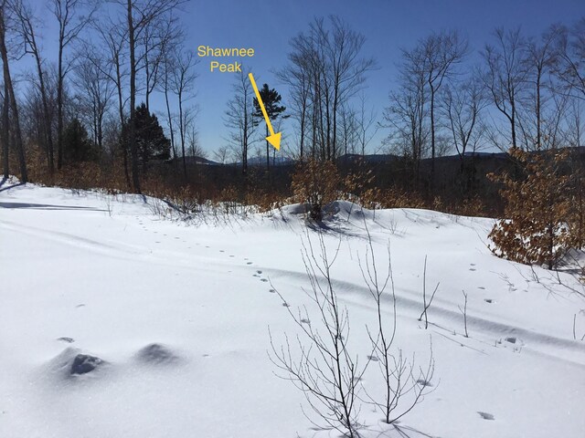 LOT06 Mcintire Rd, Waterford, ME 04088 - photo 4