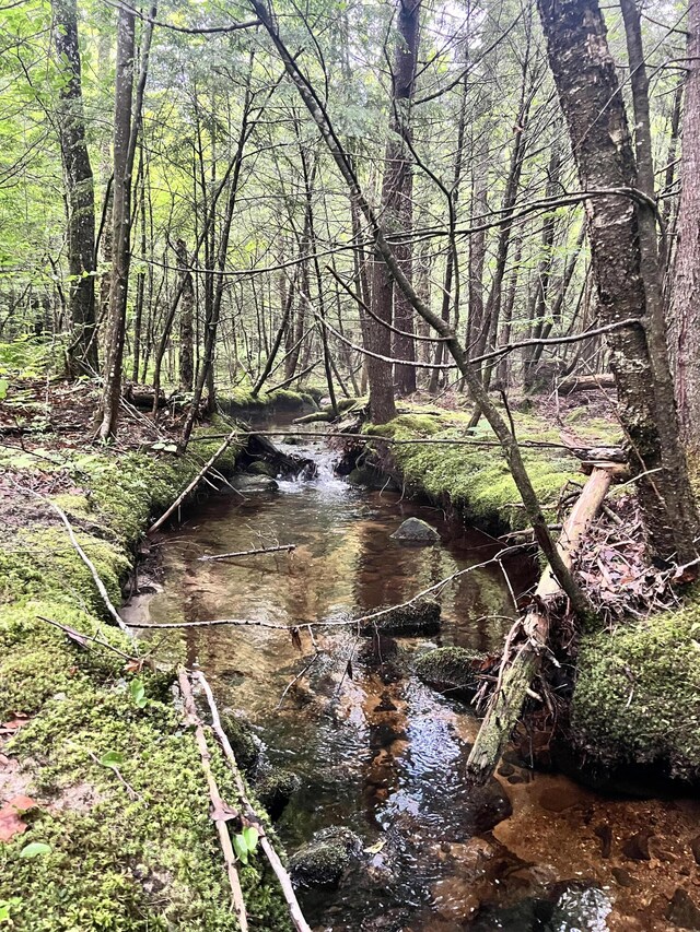 LOT06 Mcintire Rd, Waterford, ME 04088 - photo 7