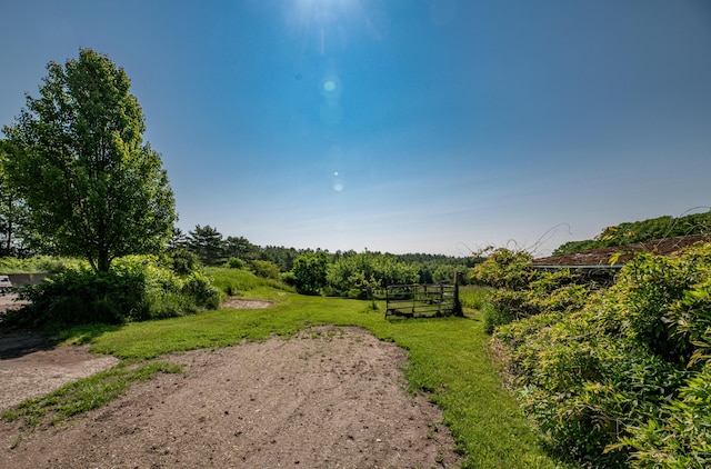 1785 Alna Rd, Alna, ME 04535 - view of yard