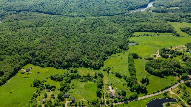 1785 Alna Rd, Alna, ME 04535 - bird's eye view of a forest and a large body of water