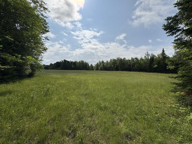 LOT74 Silver Ridge Rd, Silver Ridge Twp, ME 04776 - photo 8