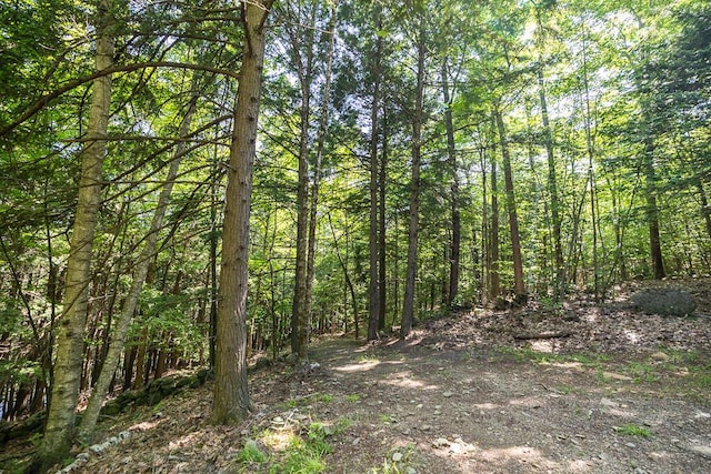 35A-12 Woodland Rd, Winthrop, ME 04346