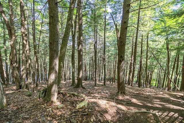 35A-12 Woodland Rd, Winthrop, ME 04346